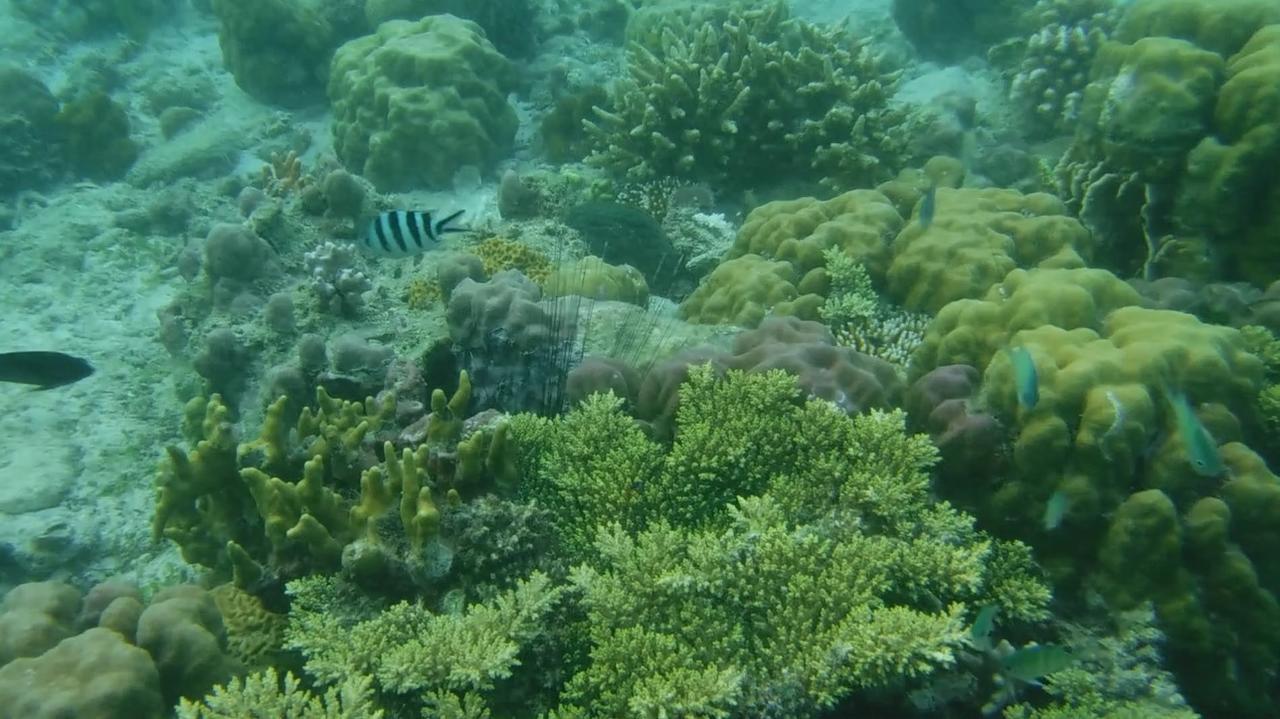 Iris Island Eco Resort Busuanga Exteriör bild